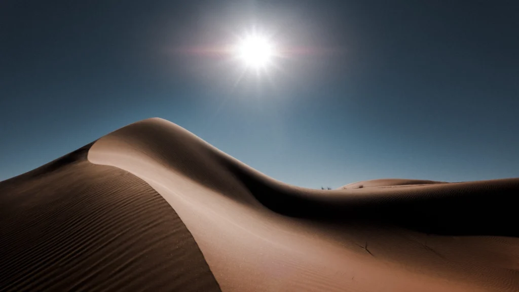 What is the Largest Desert in the World